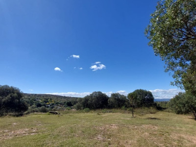 CAMPO DE 7 HA A LA VENTA