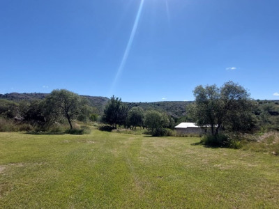 CAMPO DE 7 HA A LA VENTA