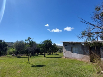 CAMPO DE 7 HA A LA VENTA