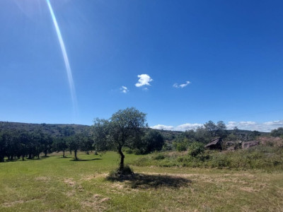 CAMPO DE 7 HA A LA VENTA