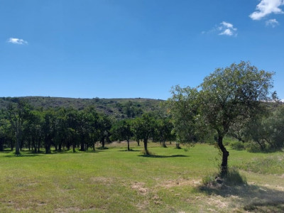 CAMPO DE 7 HA A LA VENTA