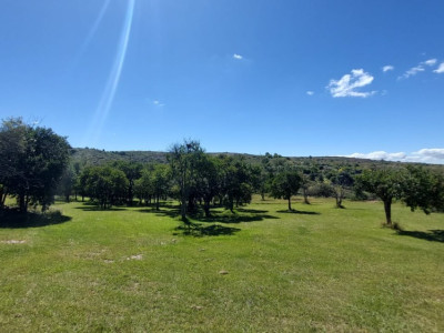 CAMPO DE 7 HA A LA VENTA