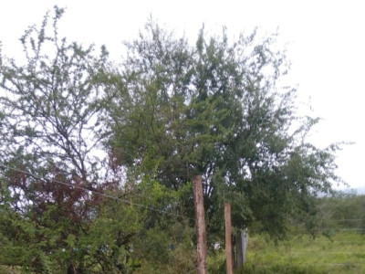 ESPECTACULAR TERRENO EN TANTI