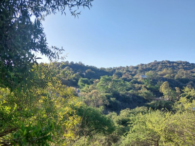 TERRENO EN CUESTA BLANCA 